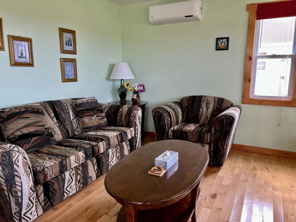 Deluxe Cottage | Living area | 45-inch flat-screen TV with satellite channels, TV