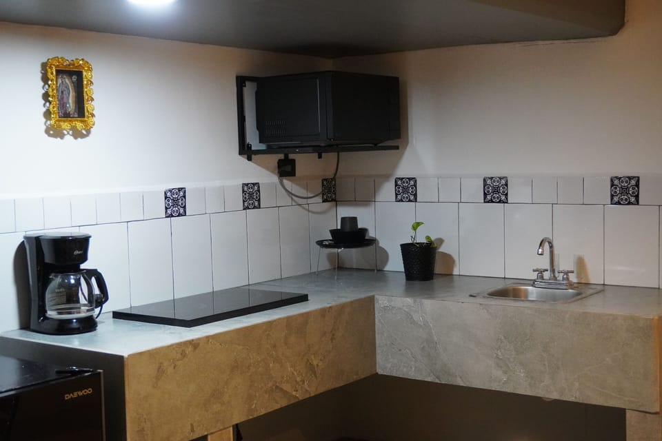 Executive Studio, 1 Queen Bed, Kitchenette, City View | Private kitchenette | Mini-fridge, microwave, cookware/dishes/utensils