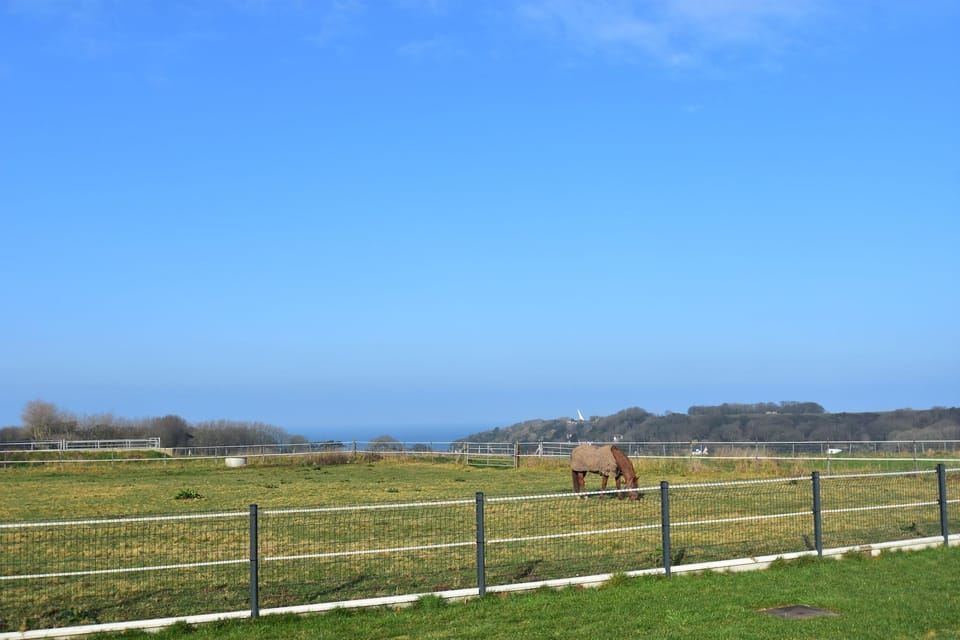 View from Holiday Home [summer]