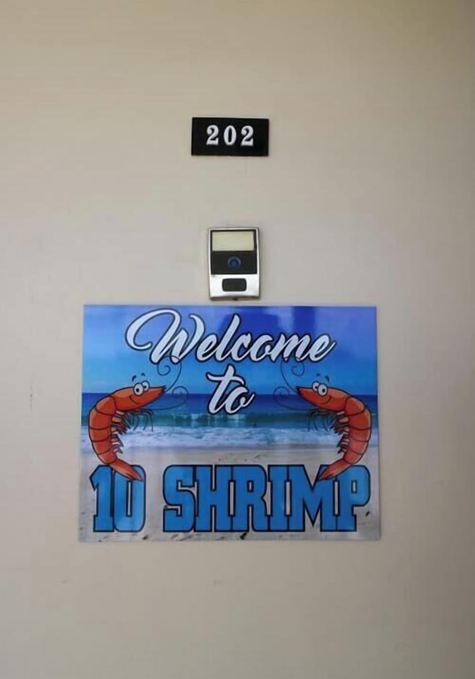 St. Augustine Ocean Front Rentals