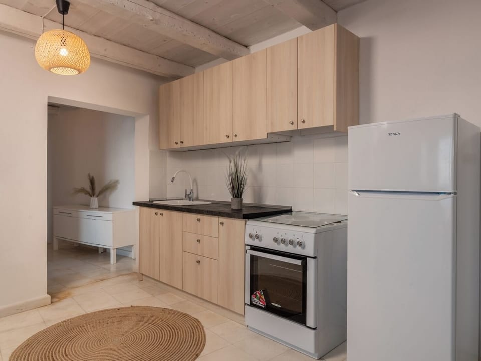 Basic Apartment | Private kitchen | Coffee/tea maker, full-size fridge, oven, stovetop