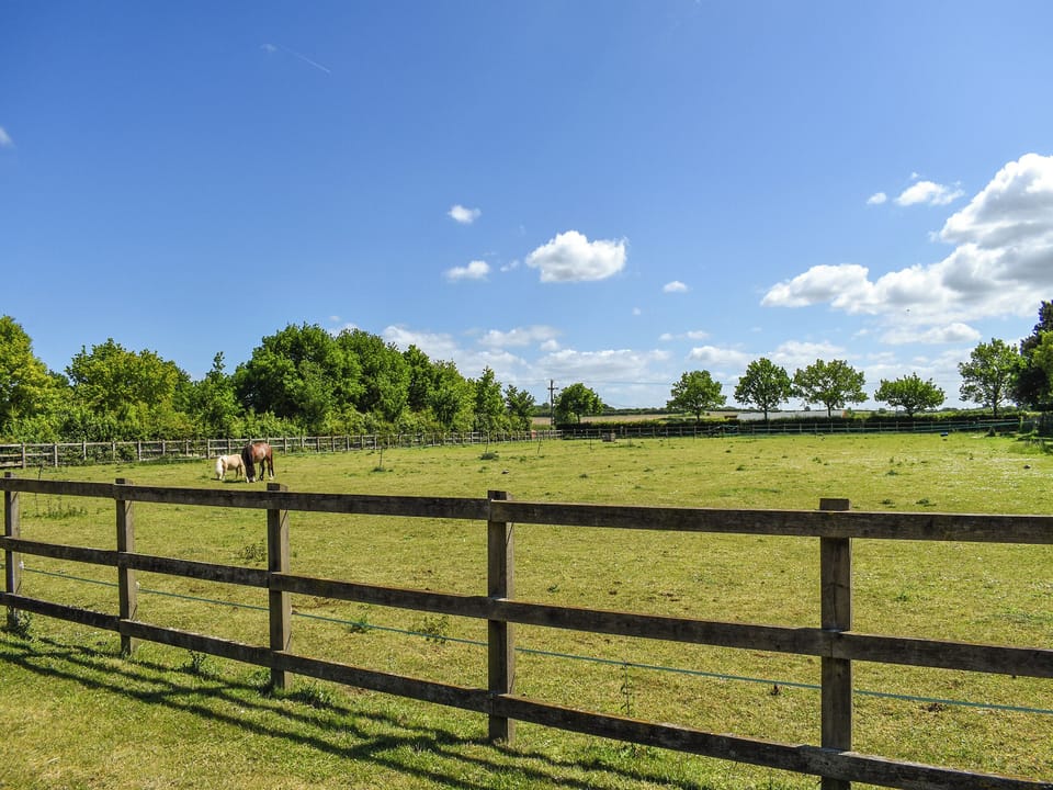 View | The Annexe at Park Farm Barns - Park Farm Barns, Snettisham