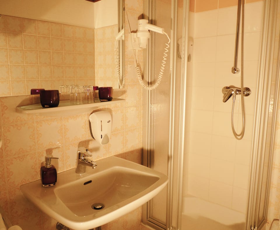 Shower, free toiletries, hair dryer, towels