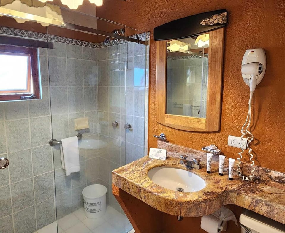 Suite | Bathroom | Shower, hair dryer, towels