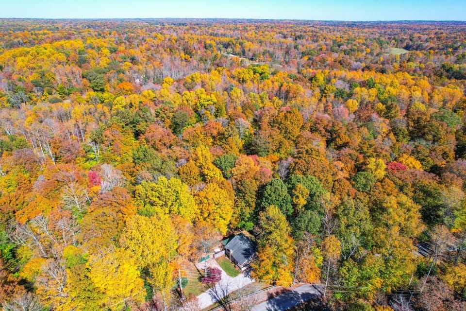 Charley's Cabin in the Fall