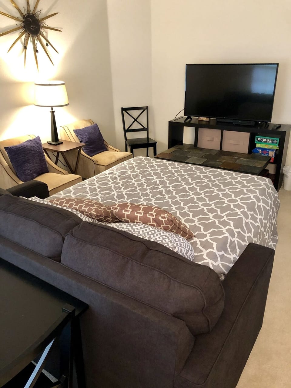 Living Room w/ TV (queen sleeper sofa- curtains to create a semi-private room)