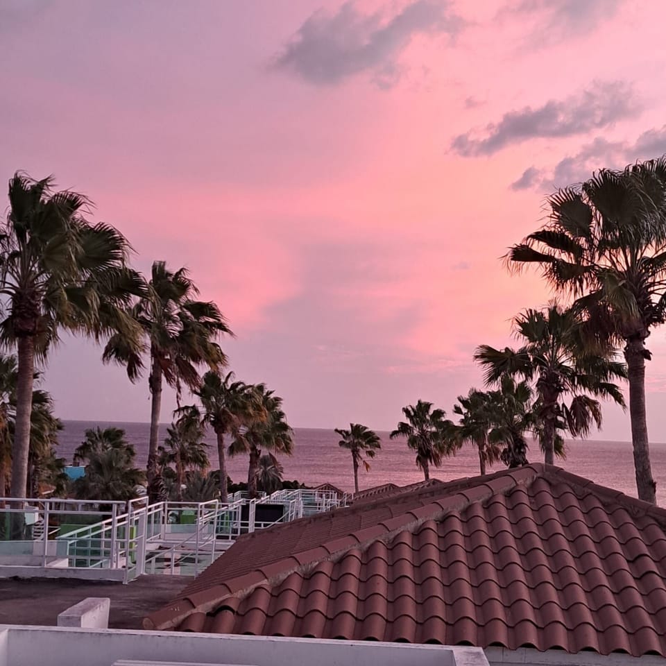Rooftop sunset