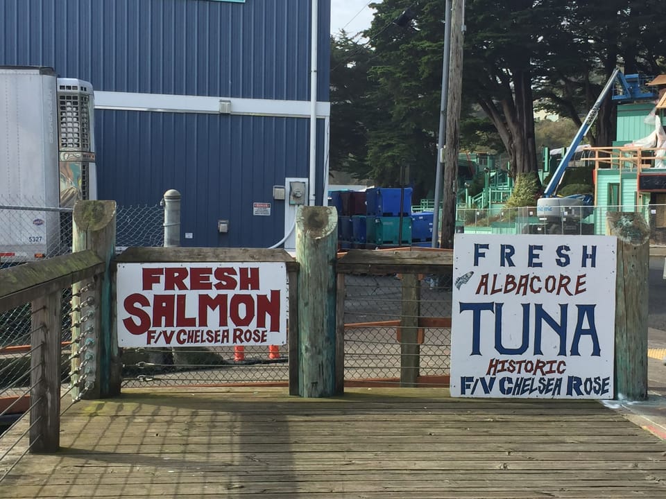Fresh fish available from our local commercial fisherman...