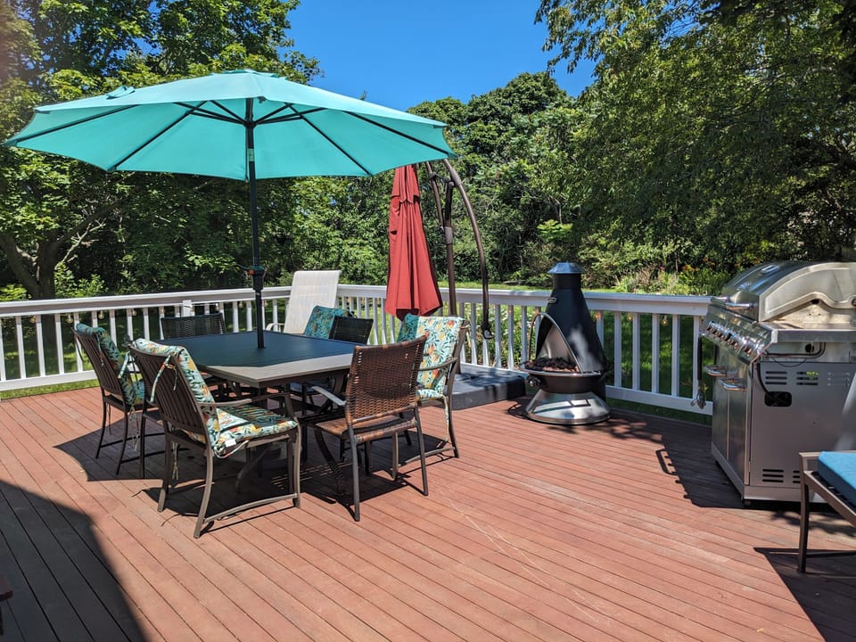 Back deck with table and chairs, chaise lounge, umbrella, fire pit, and grill.