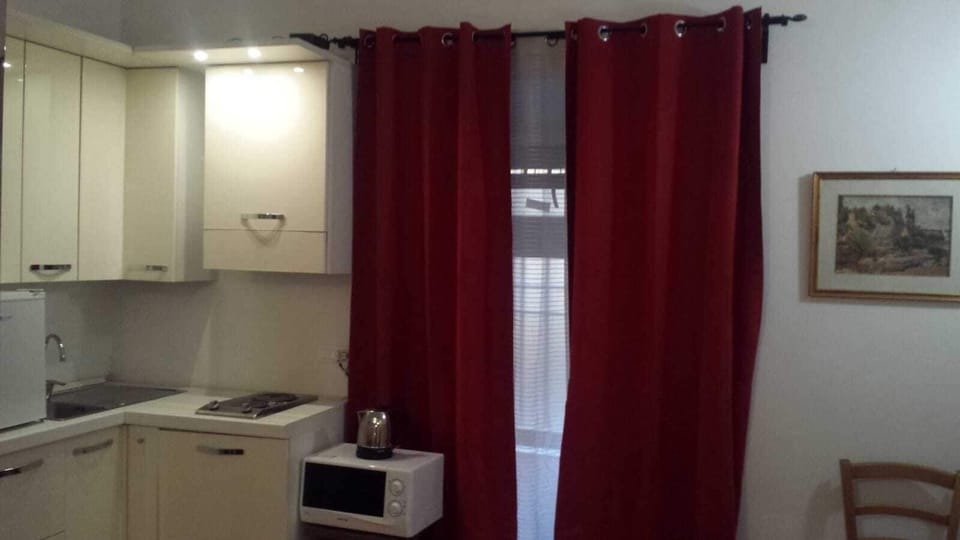 Classic Apartment | Private kitchen | Fridge, microwave, stovetop, coffee/tea maker