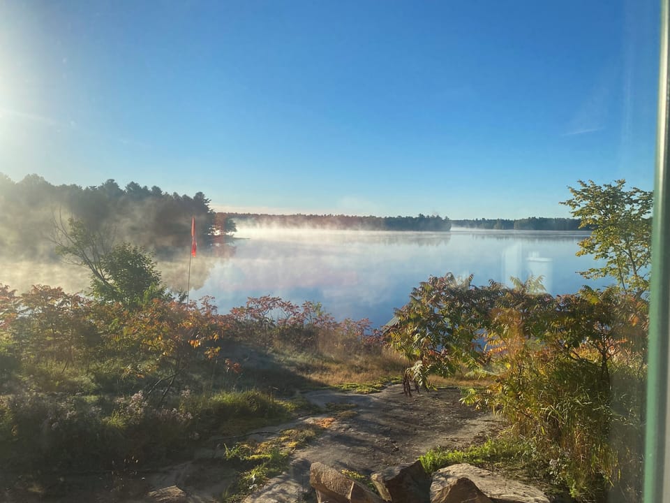 View in the morning off the porch