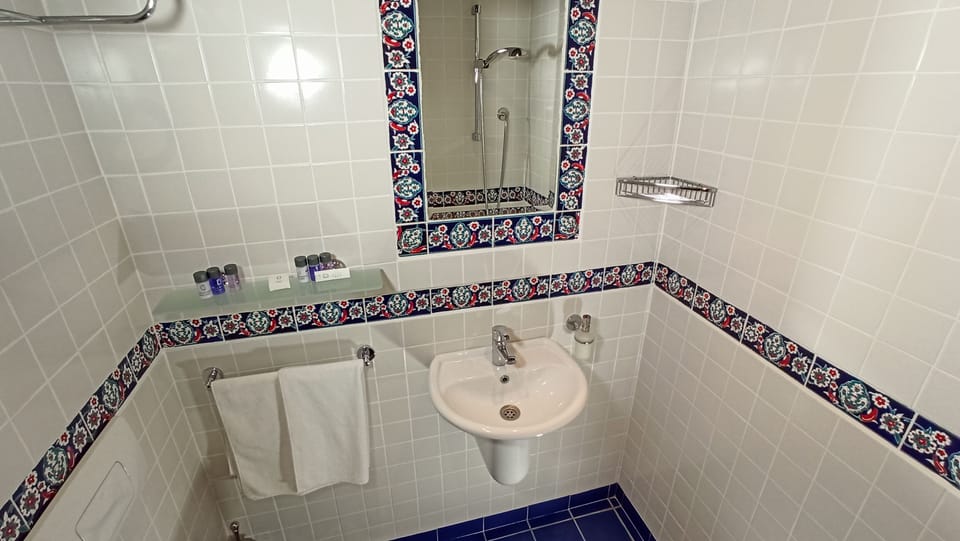 Superior Room | Bathroom