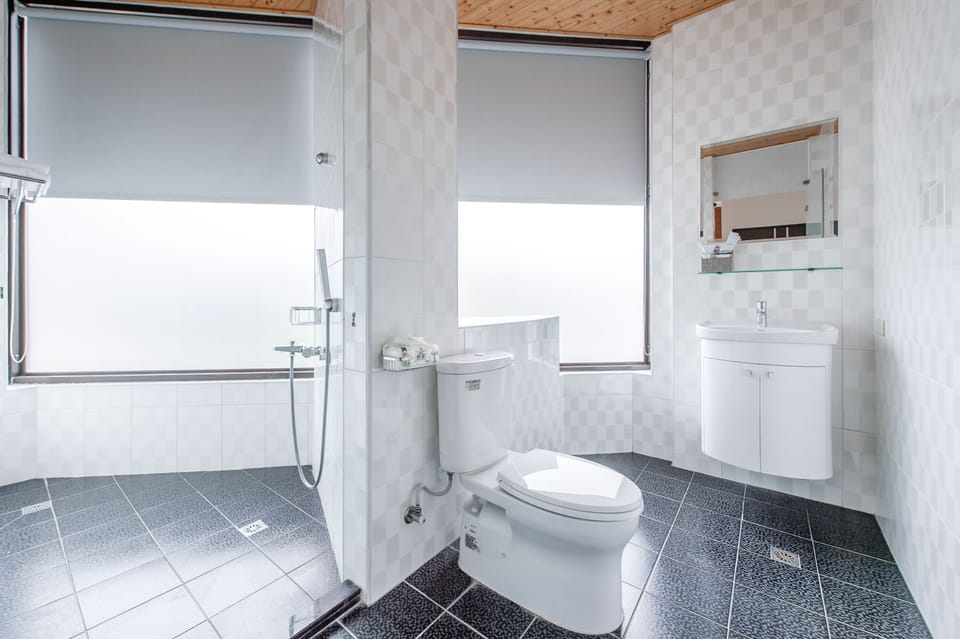 Twin Room, City View | Bathroom | Shower, hair dryer, slippers, towels