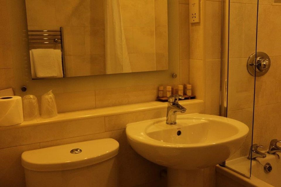 Combined shower/tub, free toiletries, hair dryer, towels