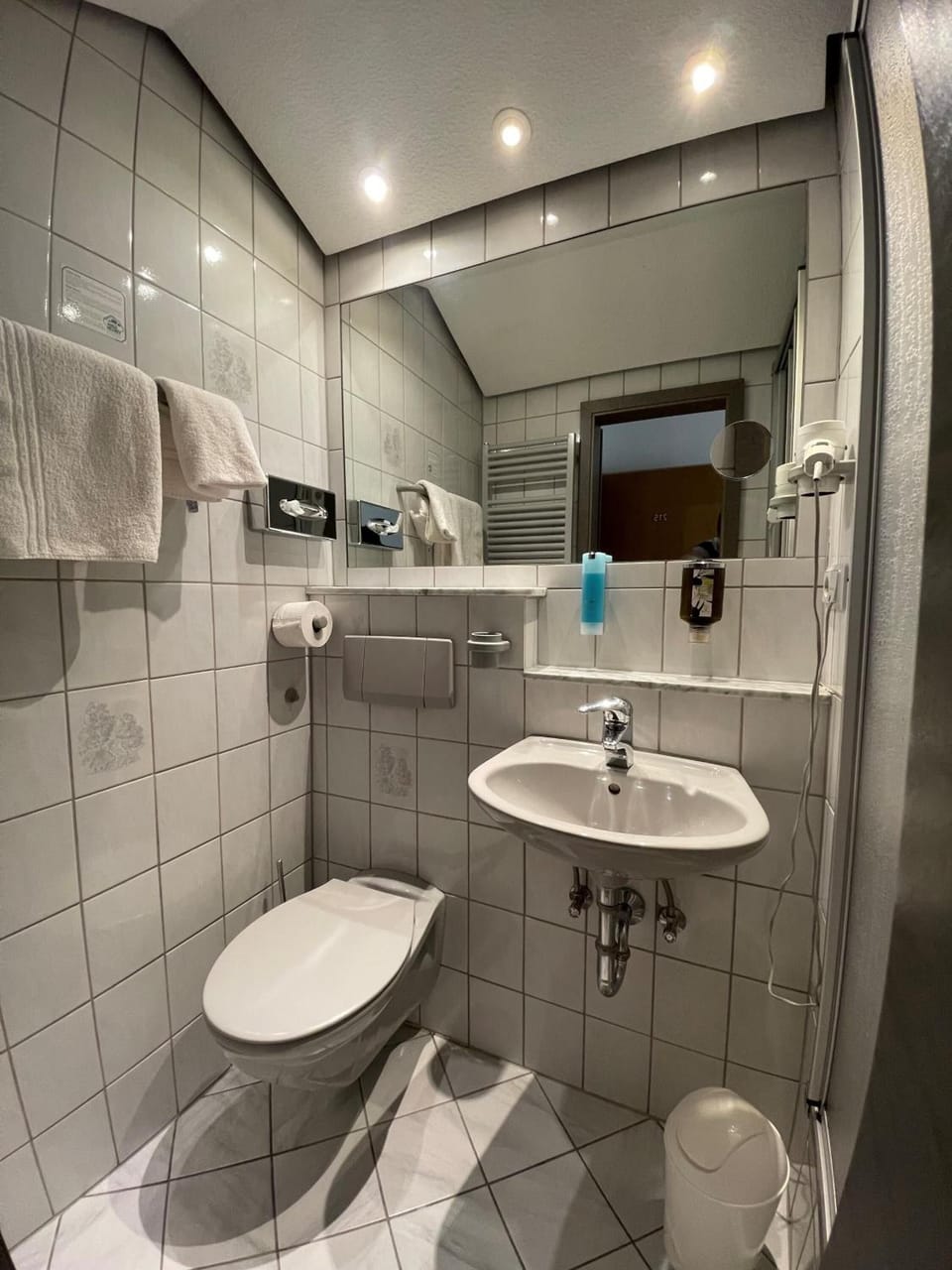 Bebras Hessischer Hof Hotel in Hesse