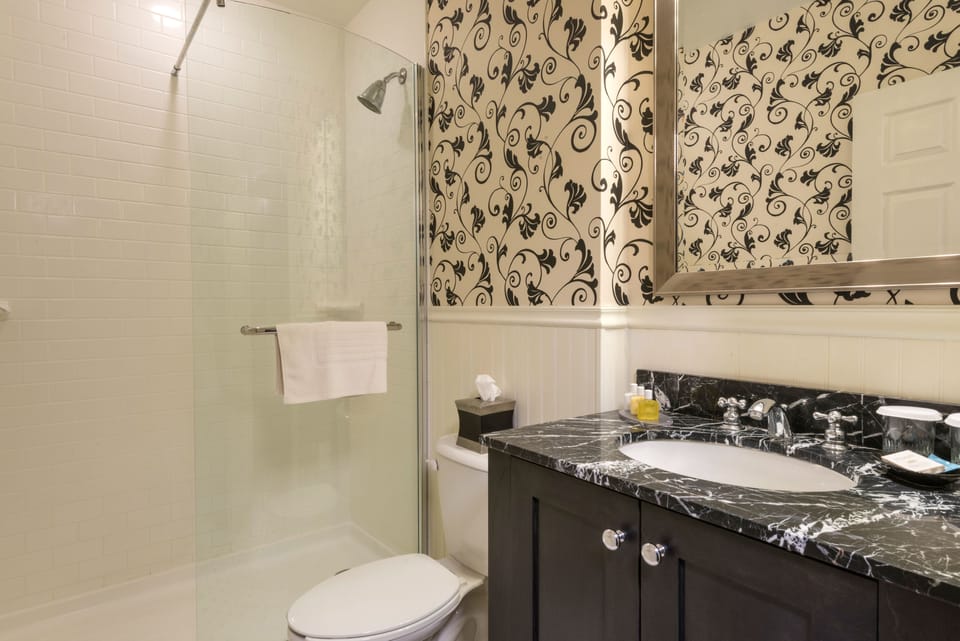 Free toiletries, hair dryer, towels