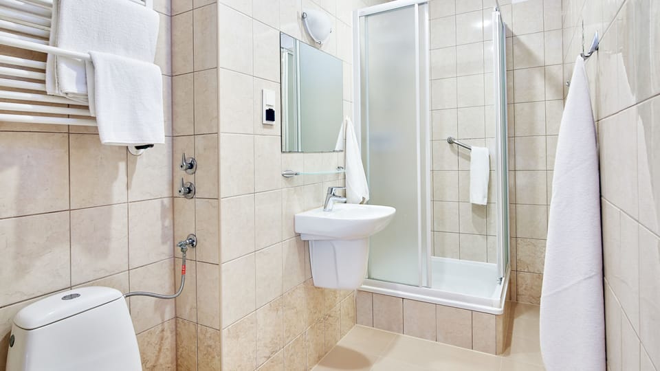 Shower, free toiletries, hair dryer, towels