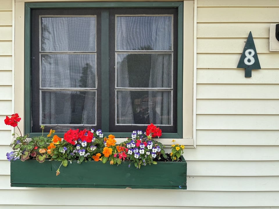 238-2025-06-19-WINDOW20BOX