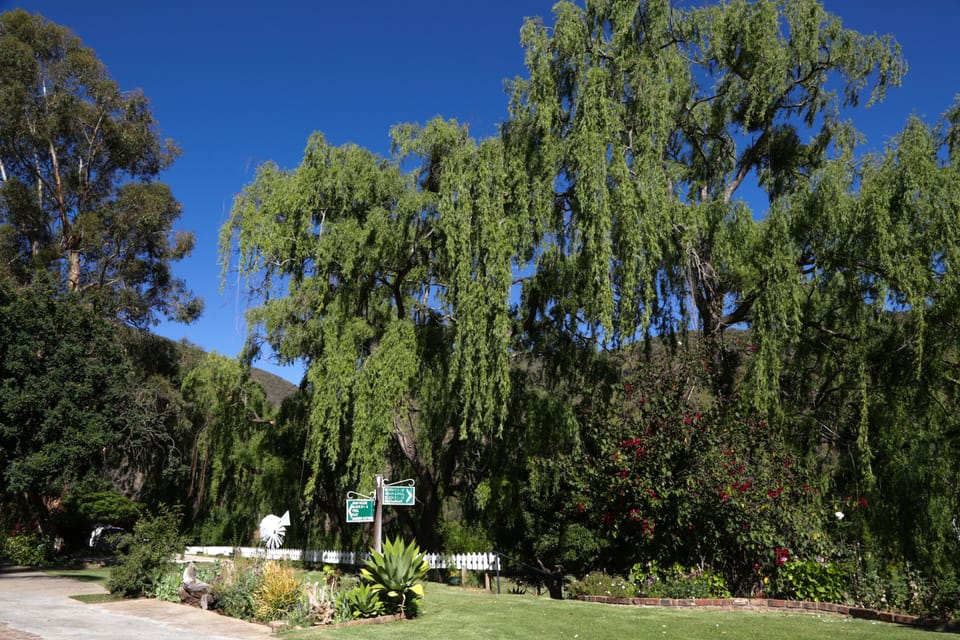 Land view from property