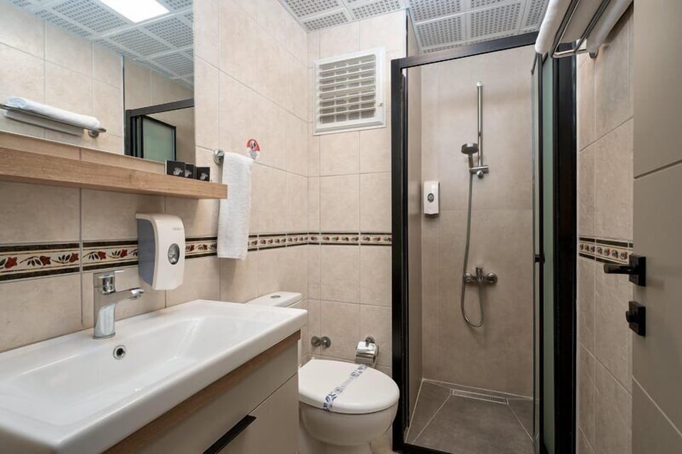 Hair dryer, towels, shampoo, toilet paper