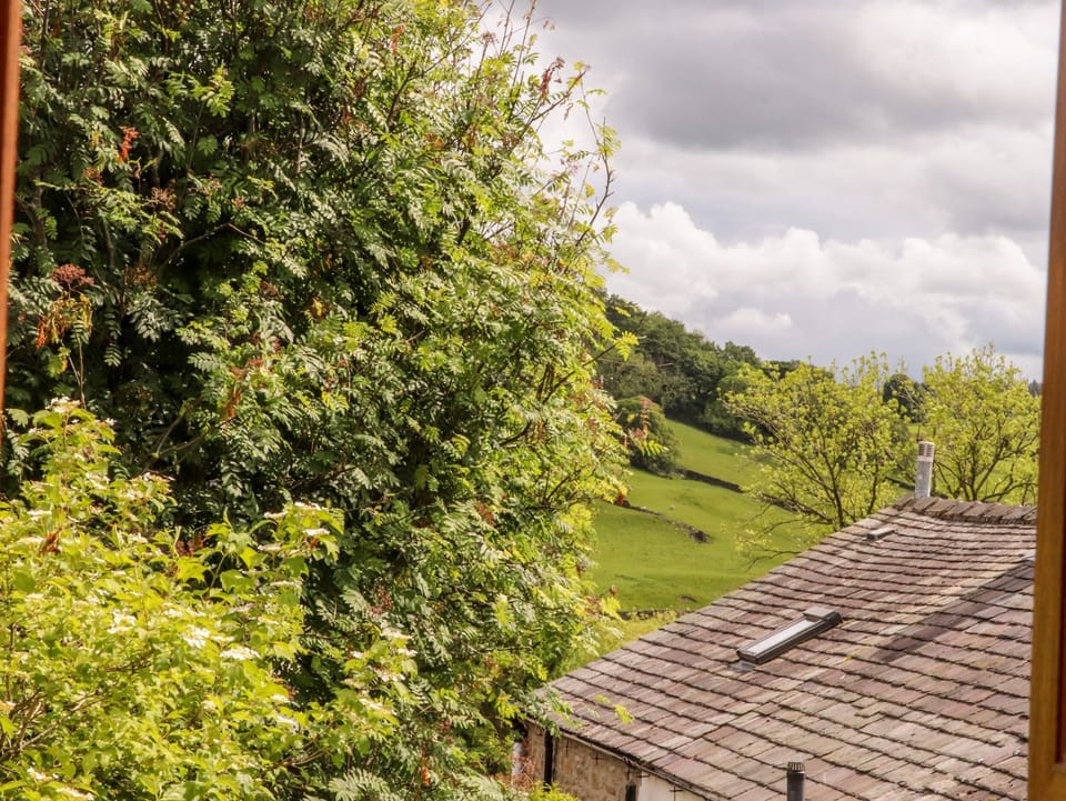 Cottage | View from property