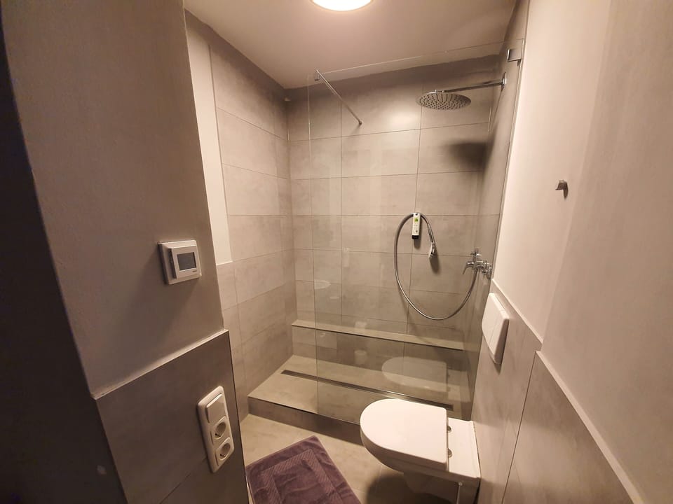 Shower, free toiletries, hair dryer, slippers