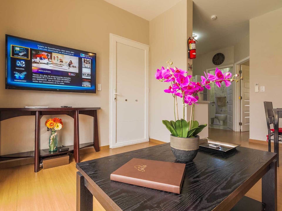 Apartment | Living room | 50-inch flat-screen TV with satellite channels, LED TV, DVD player