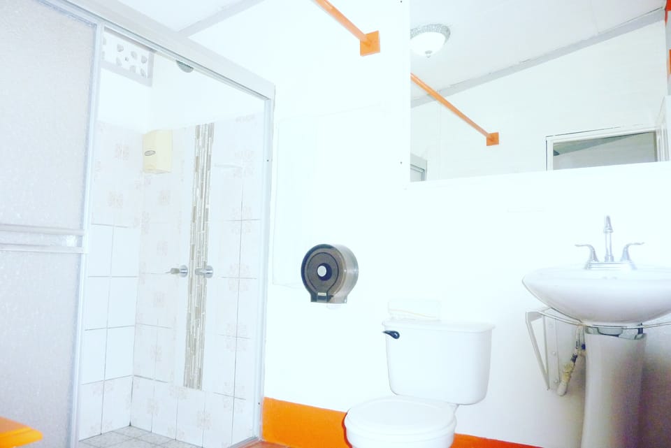 Shower, hair dryer (on request), towels