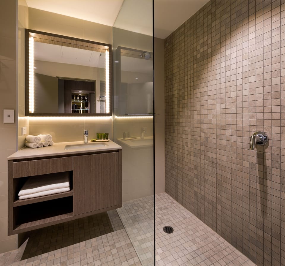 Shower, free toiletries, hair dryer, towels