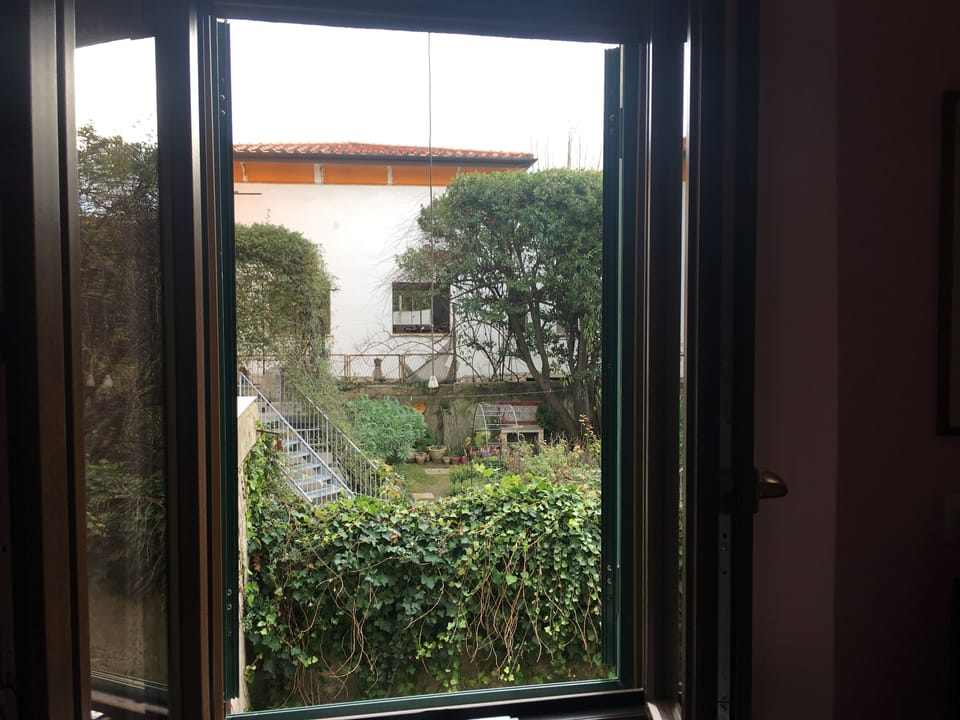 View from room