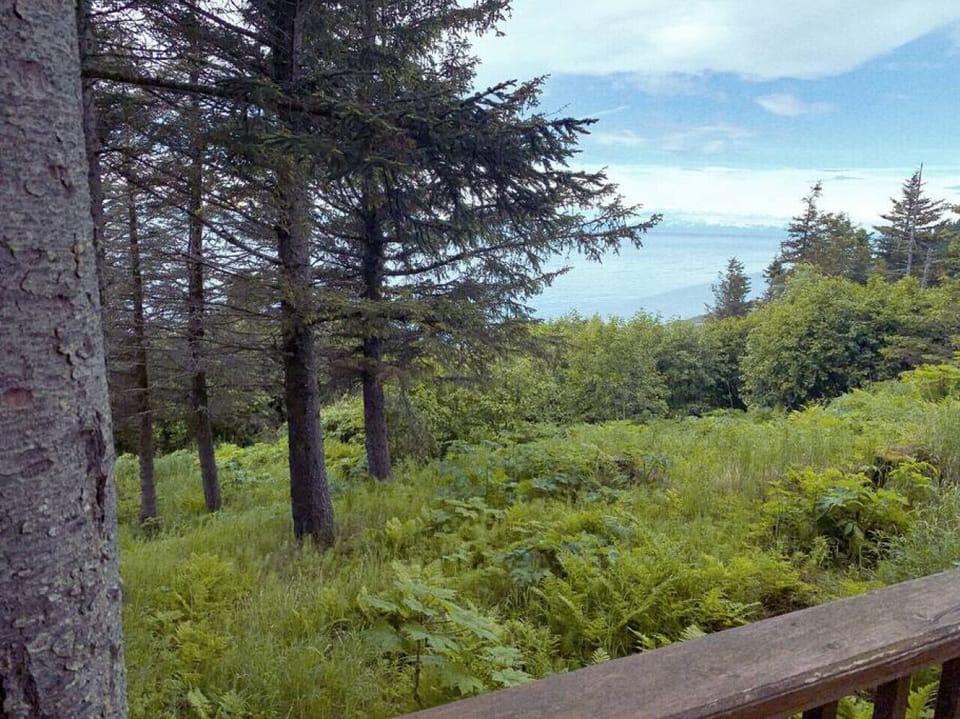 View of water from Augustine cabin