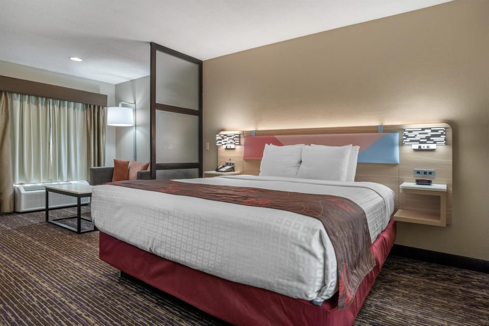 Standard Room, 1 King Bed, Non Smoking, Refrigerator & Microwave (with Single Sofabed;Larger Room) | Premium bedding, pillowtop beds, desk, blackout drapes