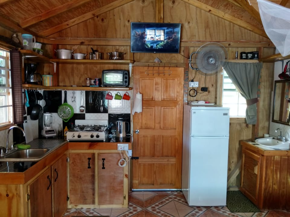 Studio Cabin  | Private kitchen | Fridge, microwave