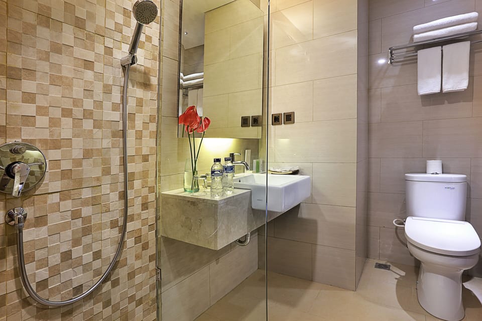Shower, free toiletries, hair dryer, slippers