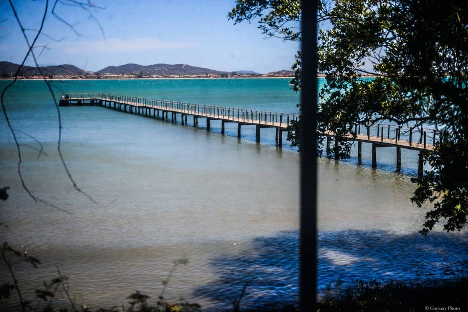 Standard Suite, Sea View | Dock