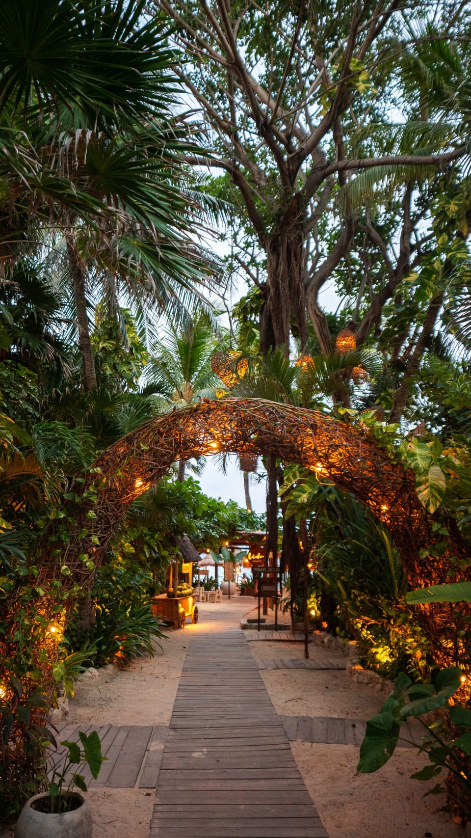 Hotel Casa Colibri Hotel in Playa del Carmen