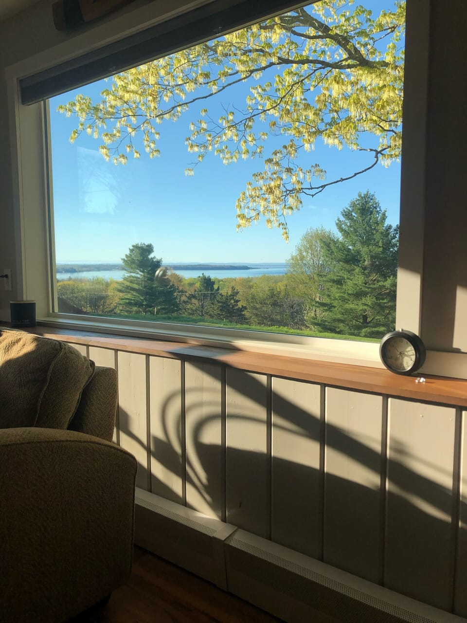 View from living room. 