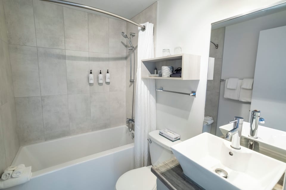 Combined shower/tub, free toiletries, hair dryer, towels