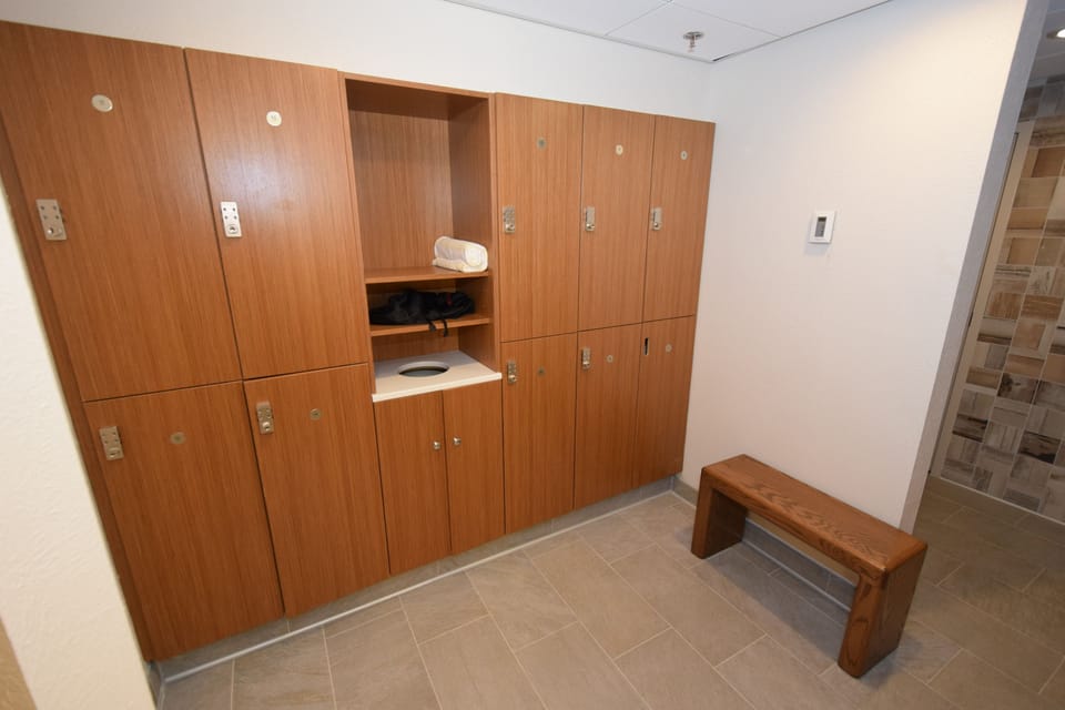 Sauna, body treatments, aromatherapy, facials, Ayurvedic treatments