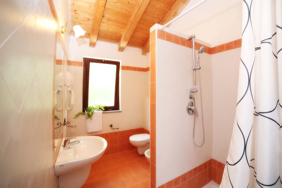 Deluxe Double or Twin Room, Terrace | Bathroom | Shower, free toiletries, hair dryer, bidet