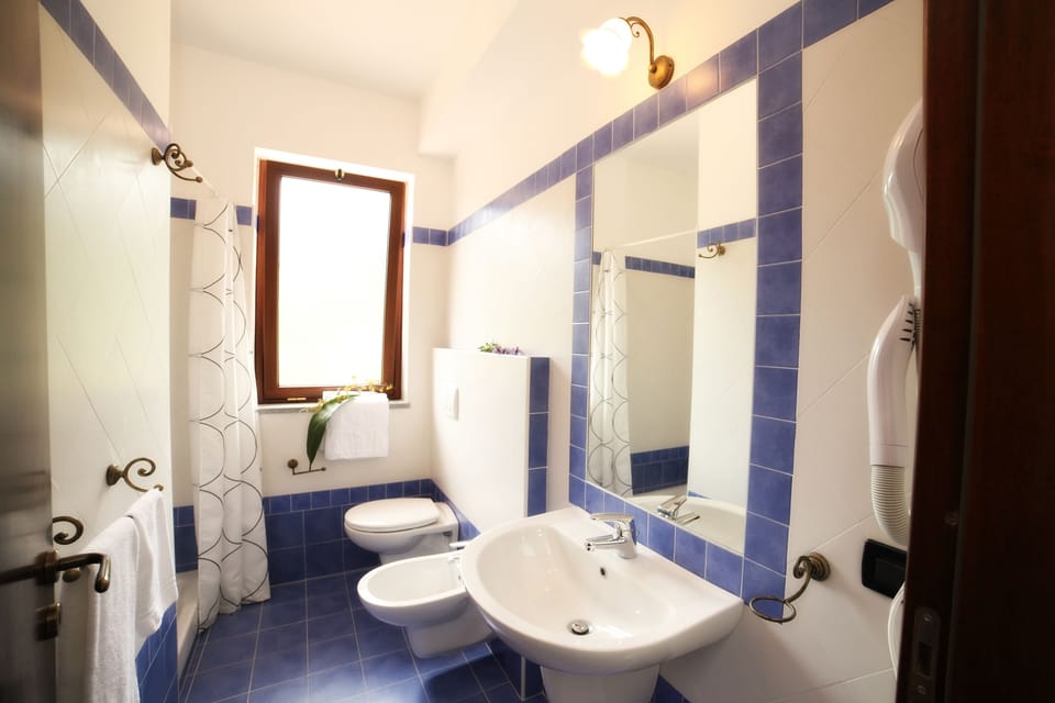 Deluxe Triple Room | Bathroom | Shower, free toiletries, hair dryer, bidet
