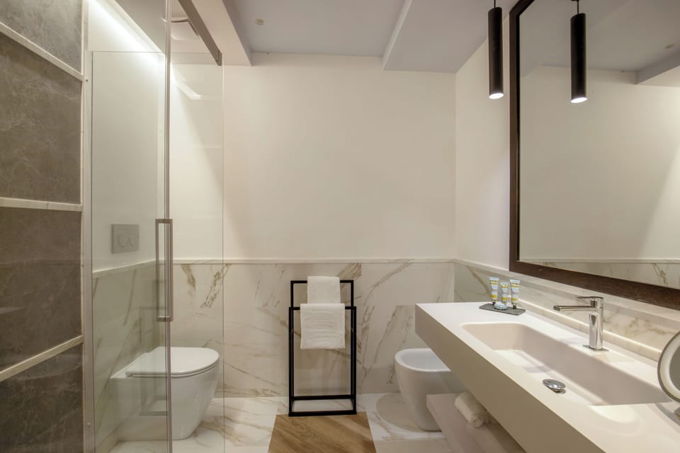 Deluxe Room | Bathroom | Shower, hydromassage showerhead, free toiletries, bidet