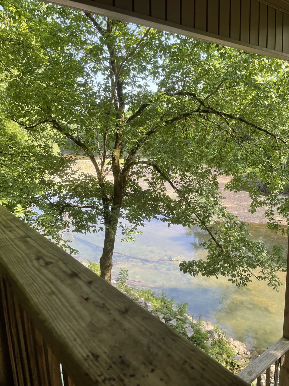 View from property