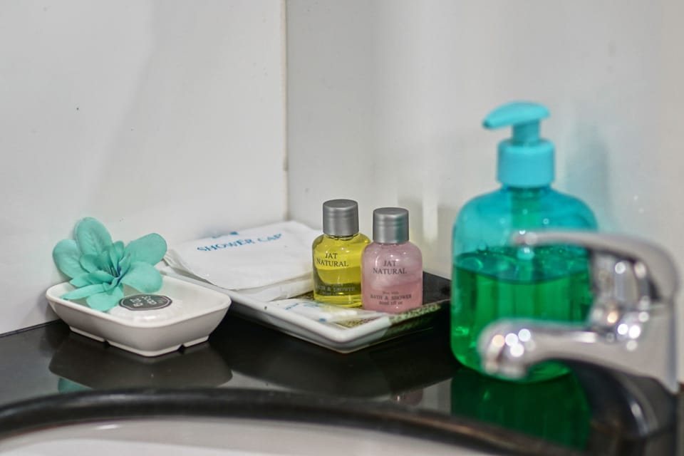 Shower, free toiletries, hair dryer, bidet