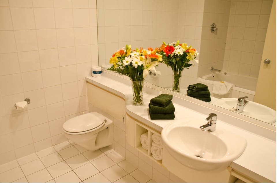 Separate tub and shower, jetted tub, free toiletries, hair dryer
