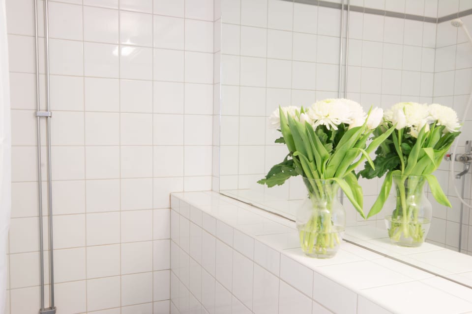 Shower, free toiletries, hair dryer, towels