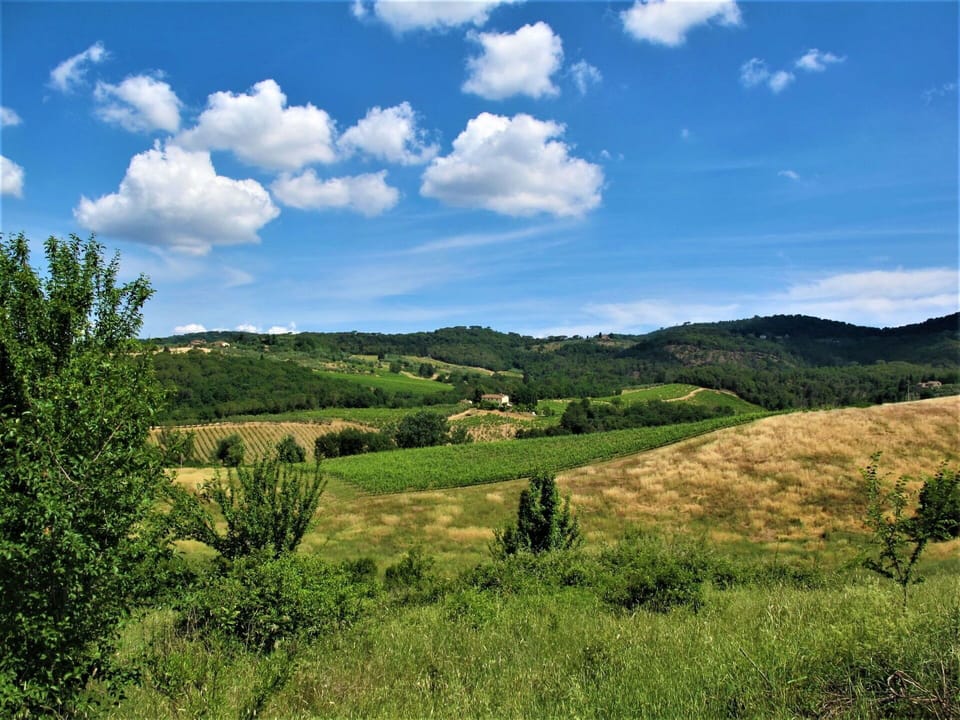 Cloud, Sky, Plant, Natural Landscape, Land Lot, Cumulus, Highland, Tree, Grass, Grassland