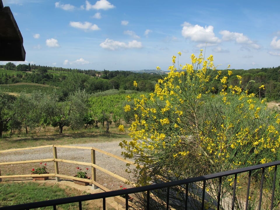 Cloud, Sky, Flower, Plant, Plant Community, Ecoregion, Natural Landscape, Botany, Fence, Natural Environment
