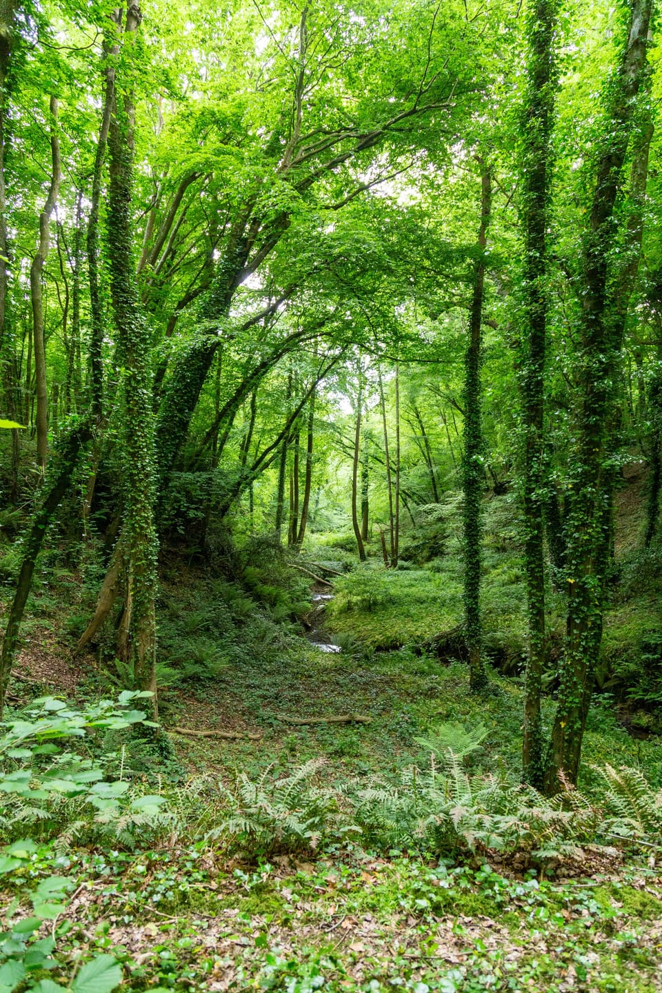 Image 15