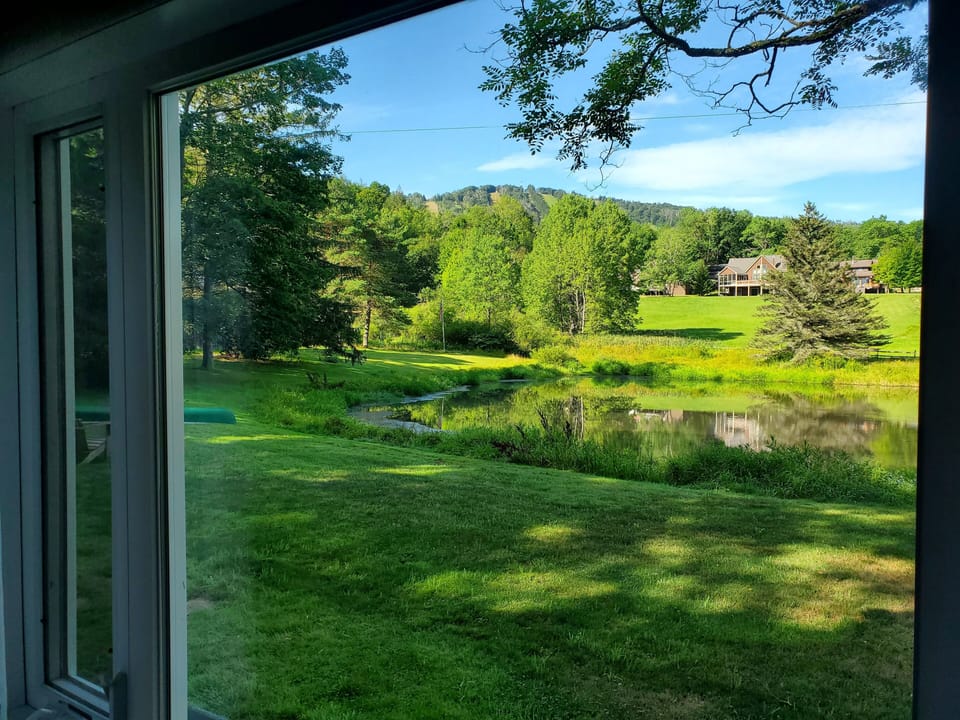 View from the Sitting Room